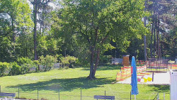 Beach volejbal
