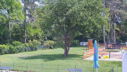 Beach volejbal