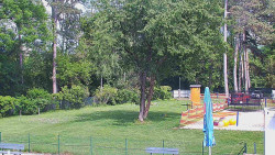 Beach volejbal