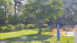 Beach volejbal