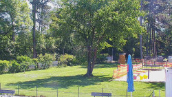 Beach volejbal