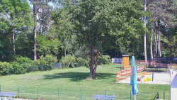 Beach volejbal