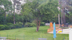Beach volejbal
