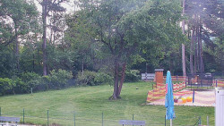 Beach volejbal