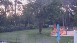 Beach volejbal