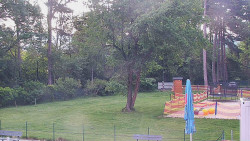 Beach volejbal
