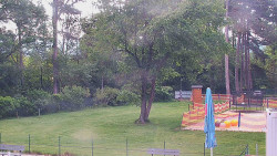 Beach volejbal
