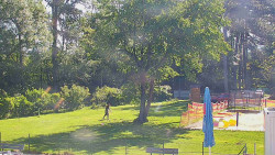 Beach volejbal