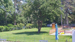 Beach volejbal