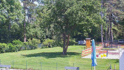 Beach volejbal