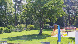 Beach volejbal