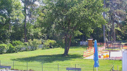 Beach volejbal