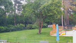 Beach volejbal