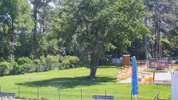 Beach volejbal