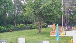 Beach volejbal