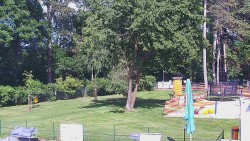 Beach volejbal