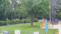Beach volejbal