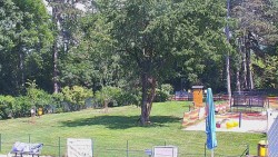 Beach volejbal