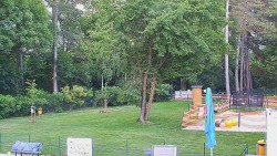 Beach volejbal