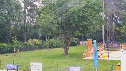 Beach volejbal