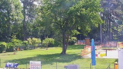 Beach volejbal