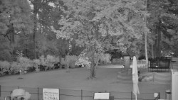 Beach volejbal