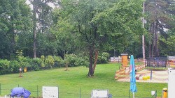 Beach volejbal