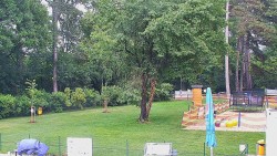 Beach volejbal