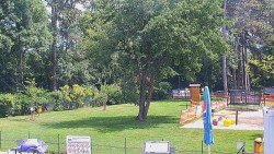 Beach volejbal