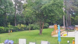 Beach volejbal