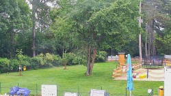 Beach volejbal