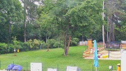 Beach volejbal