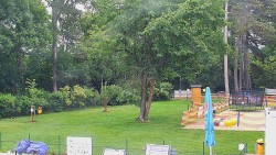 Beach volejbal