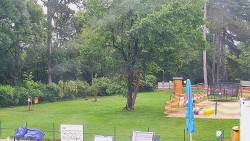 Beach volejbal