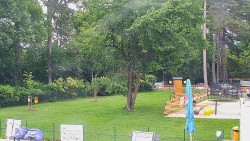 Beach volejbal