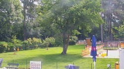 Beach volejbal