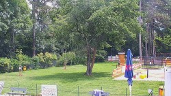 Beach volejbal