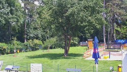 Beach volejbal