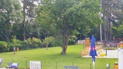 Beach volejbal