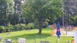 Beach volejbal