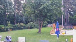 Beach volejbal