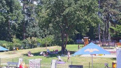 Beach volejbal