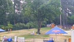 Beach volejbal
