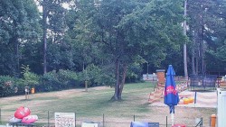 Beach volejbal