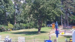 Siatkówka plażowa