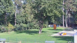 Beach volejbal