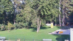 Beach volejbal