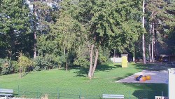 Beach volejbal