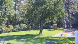 Beach volejbal