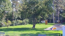 Beach volejbal